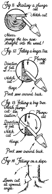
When the bar has cut a few inches into the tree, cautiously straighten the saw to begin boring straight inward with the tip of the bar, being careful to leave adequate wood for the hinge.
